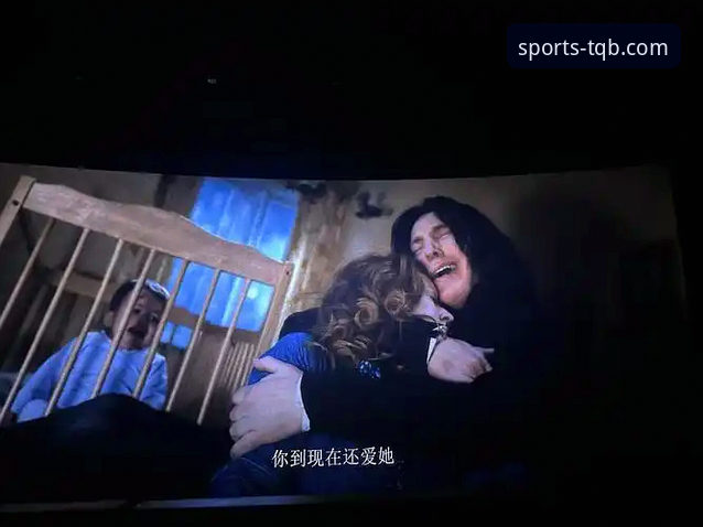 谈球吧老版本下载不了怎么办 意大利世界杯梦碎背后的真相:谈球吧资深用户如何深度解析这场悲剧